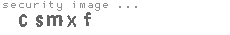 security image
