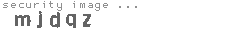 security image