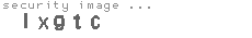 security image