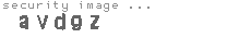 security image
