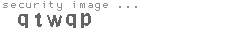 security image