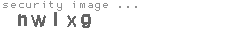 security image