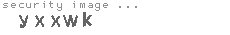 security image