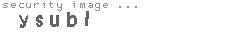 security image