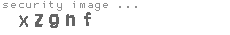 security image