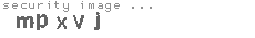 security image