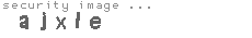 security image