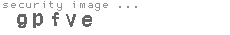 security image