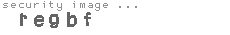 security image