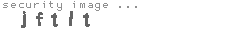 security image