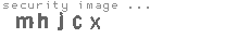 security image
