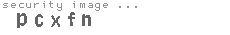 security image