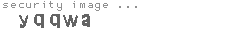 security image