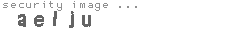 security image