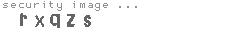 security image