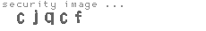 security image