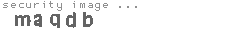 security image