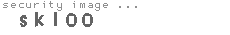 security image