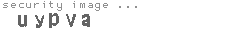 security image