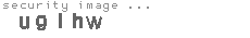 security image