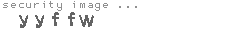 security image