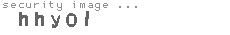 security image