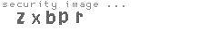 security image