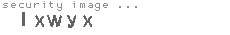 security image