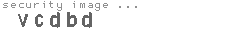 security image