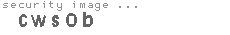 security image