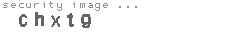 security image