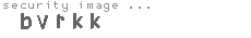 security image