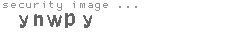 security image