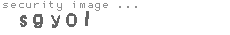 security image