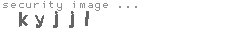security image