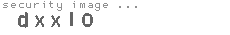 security image
