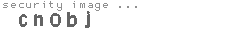 security image