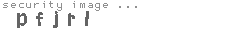 security image