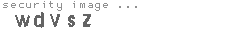 security image