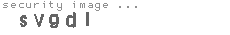 security image