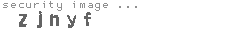 security image