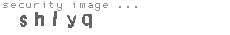 security image