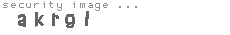 security image