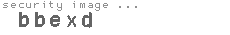 security image