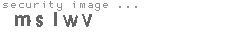 security image