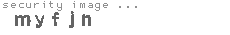 security image