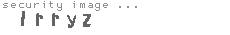 security image