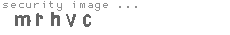 security image