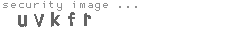 security image