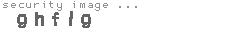 security image